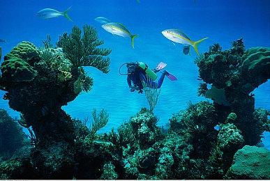 战略牌组构建游戏《超级子弹破》试玩Demo上线  支持中文